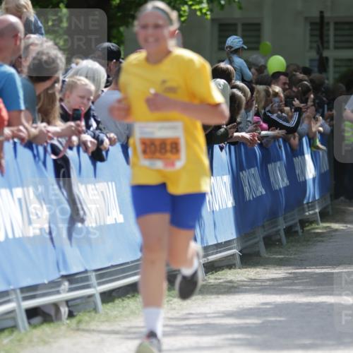 17.05.2025 - Störlauf H.Heesch http://msf.ph/oto/7881984 17.05.2025 15:29:41 Ziel  meine-sportfotos.de