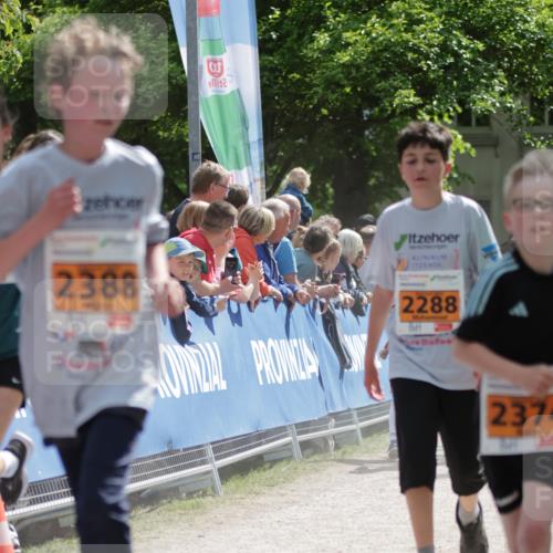 17.05.2025 - Störlauf H.Heesch http://msf.ph/oto/7882026 17.05.2025 15:29:56 Ziel  meine-sportfotos.de
