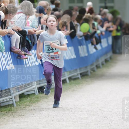 17.05.2025 - Störlauf H.Heesch http://msf.ph/oto/7893297 17.05.2025 13:41:43 Ziel 70, 247 meine-sportfotos.de