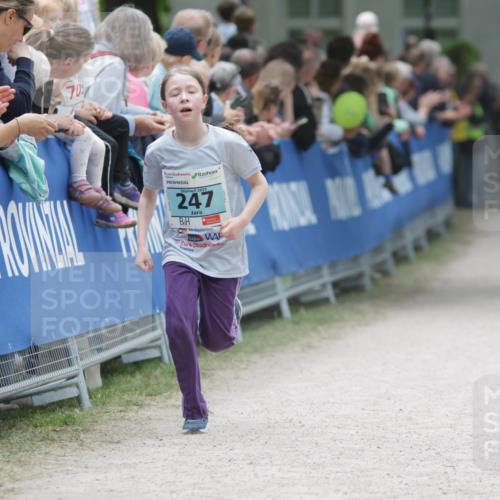 17.05.2025 - Störlauf H.Heesch http://msf.ph/oto/7893299 17.05.2025 13:41:43 Ziel 70, 2025, 247 meine-sportfotos.de