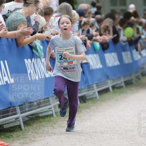 17.05.2025 - Störlauf H.Heesch http://msf.ph/oto/7893303 17.05.2025 13:41:44 Ziel 70, 25 meine-sportfotos.de
