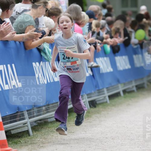 17.05.2025 - Störlauf H.Heesch http://msf.ph/oto/7893304 17.05.2025 13:41:44 Ziel 24 meine-sportfotos.de