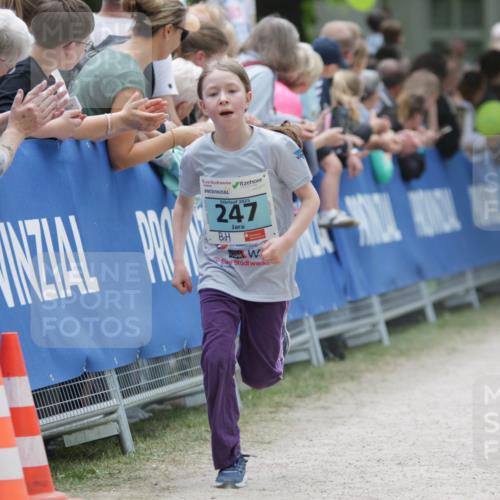 17.05.2025 - Störlauf H.Heesch http://msf.ph/oto/7893305 17.05.2025 13:41:44 Ziel 2025, 247 meine-sportfotos.de