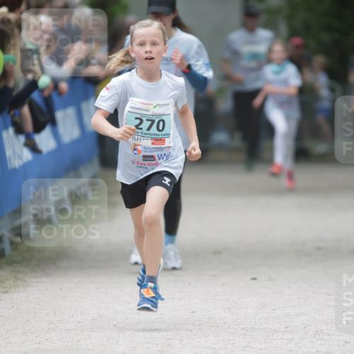 17.05.2025 - Störlauf H.Heesch http://msf.ph/oto/7893307 17.05.2025 13:41:48 Ziel 2025, 270 meine-sportfotos.de