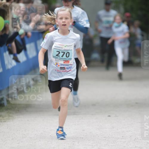 17.05.2025 - Störlauf H.Heesch http://msf.ph/oto/7893308 17.05.2025 13:41:48 Ziel 2025, 270 meine-sportfotos.de