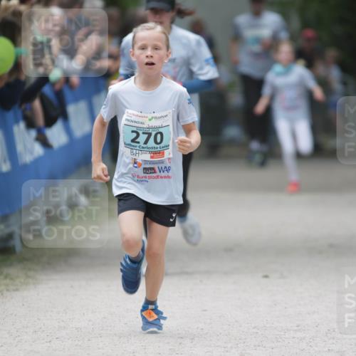 17.05.2025 - Störlauf H.Heesch http://msf.ph/oto/7893309 17.05.2025 13:41:48 Ziel 2025, 270 meine-sportfotos.de