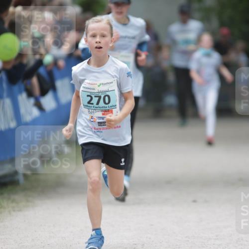 17.05.2025 - Störlauf H.Heesch http://msf.ph/oto/7893311 17.05.2025 13:41:49 Ziel 2025, 270 meine-sportfotos.de
