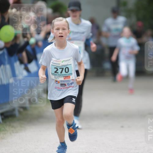 17.05.2025 - Störlauf H.Heesch http://msf.ph/oto/7893312 17.05.2025 13:41:49 Ziel 2025, 270 meine-sportfotos.de