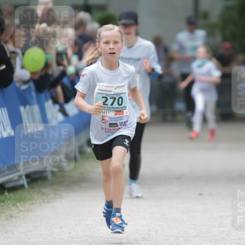 17.05.2025 - Störlauf H.Heesch http://msf.ph/oto/7893313 17.05.2025 13:41:49 Ziel 2025, 270 meine-sportfotos.de