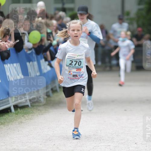 17.05.2025 - Störlauf H.Heesch http://msf.ph/oto/7893314 17.05.2025 13:41:49 Ziel 2025, 270 meine-sportfotos.de