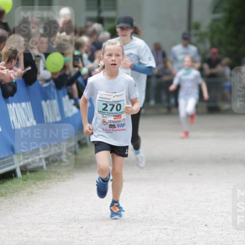 17.05.2025 - Störlauf H.Heesch http://msf.ph/oto/7893315 17.05.2025 13:41:49 Ziel 270, 9 meine-sportfotos.de
