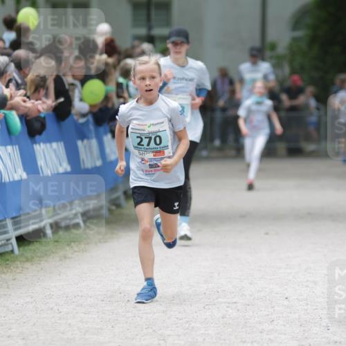 17.05.2025 - Störlauf H.Heesch http://msf.ph/oto/7893317 17.05.2025 13:41:49 Ziel 2025, 270 meine-sportfotos.de