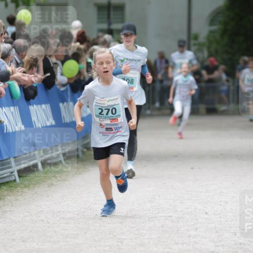 17.05.2025 - Störlauf H.Heesch http://msf.ph/oto/7893318 17.05.2025 13:41:49 Ziel 270, 08 meine-sportfotos.de