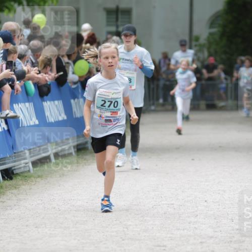 17.05.2025 - Störlauf H.Heesch http://msf.ph/oto/7893320 17.05.2025 13:41:50 Ziel 2025, 270 meine-sportfotos.de
