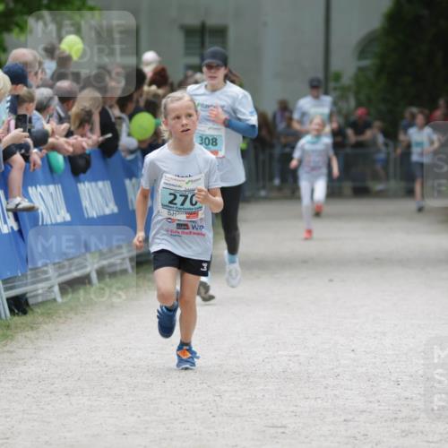 17.05.2025 - Störlauf H.Heesch http://msf.ph/oto/7893321 17.05.2025 13:41:50 Ziel 308, 270 meine-sportfotos.de