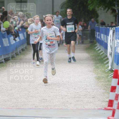 17.05.2025 - Störlauf H.Heesch http://msf.ph/oto/7893368 17.05.2025 13:42:08 Ziel 285, 210 meine-sportfotos.de