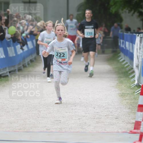 17.05.2025 - Störlauf H.Heesch http://msf.ph/oto/7893370 17.05.2025 13:42:08 Ziel 222, 210 meine-sportfotos.de