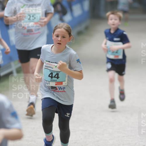 17.05.2025 - Störlauf H.Heesch http://msf.ph/oto/7893464 17.05.2025 13:42:32 Ziel 438, 25, 2025, 44 meine-sportfotos.de