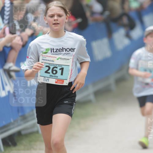 17.05.2025 - Störlauf H.Heesch http://msf.ph/oto/7893486 17.05.2025 13:42:38 Ziel 2025, 261 meine-sportfotos.de