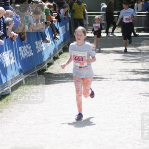 17.05.2025 - Störlauf H.Heesch http://msf.ph/oto/7893496 17.05.2025 14:04:50 Ziel 444, 54, 653 meine-sportfotos.de