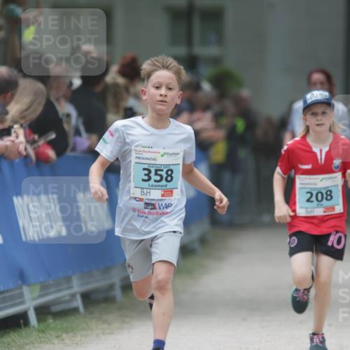 17.05.2025 - Störlauf H.Heesch http://msf.ph/oto/7893503 17.05.2025 13:42:46 Ziel 2025, 358, 208, 10 meine-sportfotos.de