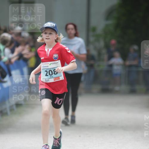 17.05.2025 - Störlauf H.Heesch http://msf.ph/oto/7893507 17.05.2025 13:42:47 Ziel 2025, 208, 110 meine-sportfotos.de