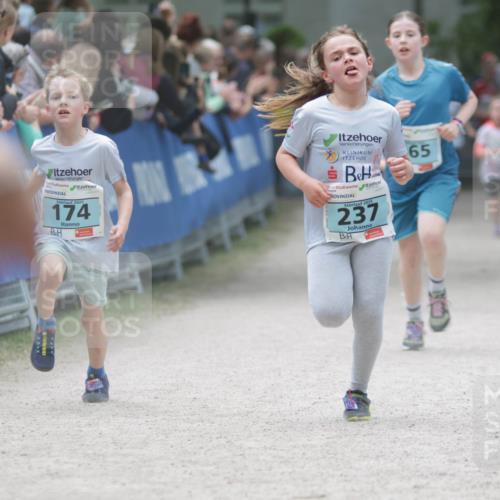17.05.2025 - Störlauf H.Heesch http://msf.ph/oto/7893546 17.05.2025 13:43:02 Ziel 2025, 174, 2025, 237, 65 meine-sportfotos.de