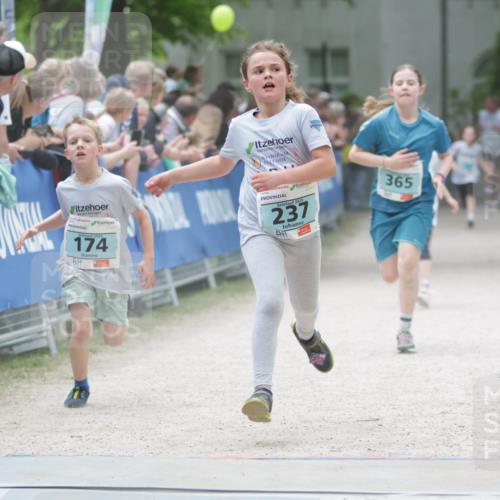 17.05.2025 - Störlauf H.Heesch http://msf.ph/oto/7893550 17.05.2025 13:43:03 Ziel 174, 2025, 237, 365 meine-sportfotos.de