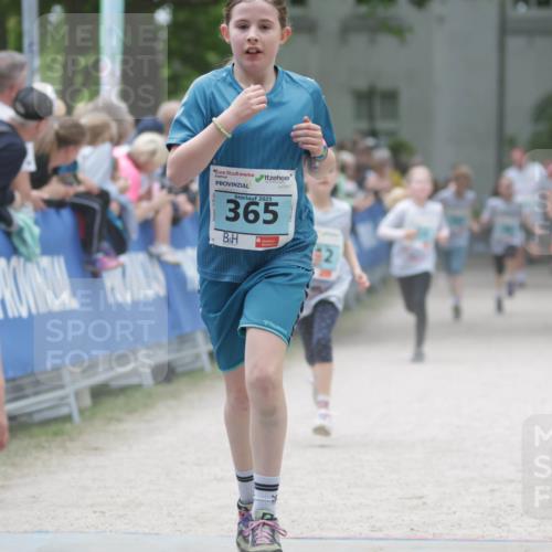 17.05.2025 - Störlauf H.Heesch http://msf.ph/oto/7893572 17.05.2025 13:43:04 Ziel 74, 2025, 365, 2 meine-sportfotos.de