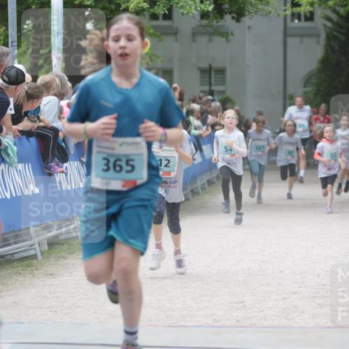 17.05.2025 - Störlauf H.Heesch http://msf.ph/oto/7893576 17.05.2025 13:43:05 Ziel 174, 365, 12, 54, 161 meine-sportfotos.de