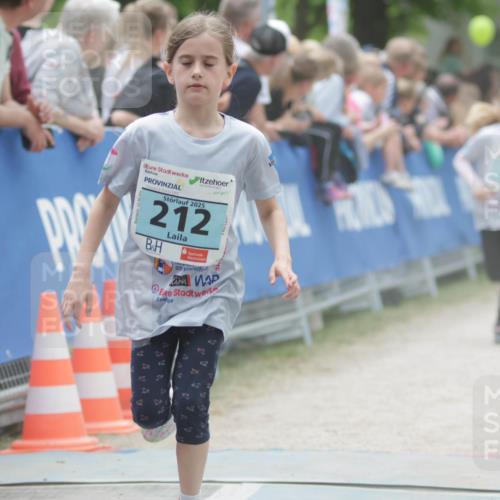 17.05.2025 - Störlauf H.Heesch http://msf.ph/oto/7893578 17.05.2025 13:43:06 Ziel 2025, 212, 47 meine-sportfotos.de