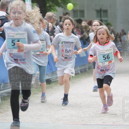 17.05.2025 - Störlauf H.Heesch http://msf.ph/oto/7893588 17.05.2025 13:43:09 Ziel 56, 2021, 56, 364 meine-sportfotos.de