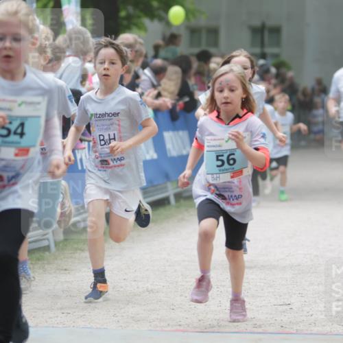 17.05.2025 - Störlauf H.Heesch http://msf.ph/oto/7893595 17.05.2025 13:43:09 Ziel 54, 2025, 56, 564 meine-sportfotos.de