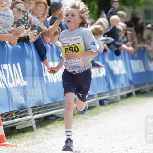 17.05.2025 - Störlauf H.Heesch http://msf.ph/oto/7893619 17.05.2025 14:08:38 Ziel 2025, 280, 25 meine-sportfotos.de