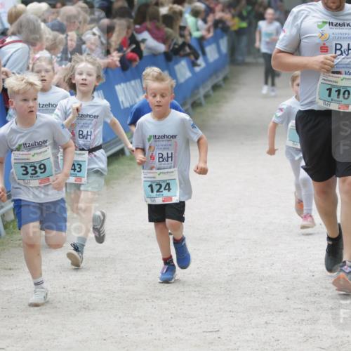 17.05.2025 - Störlauf H.Heesch http://msf.ph/oto/7893630 17.05.2025 13:43:22 Ziel 339, 43, 124, 144, 110 meine-sportfotos.de