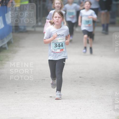 17.05.2025 - Störlauf H.Heesch http://msf.ph/oto/7893665 17.05.2025 13:43:37 Ziel 2025, 344, 91 meine-sportfotos.de