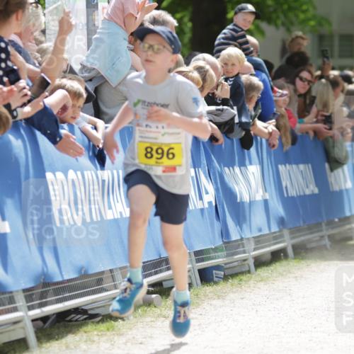 17.05.2025 - Störlauf H.Heesch http://msf.ph/oto/7893671 17.05.2025 14:08:54 Ziel 199, 896 meine-sportfotos.de