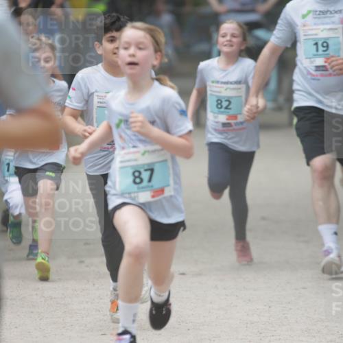17.05.2025 - Störlauf H.Heesch http://msf.ph/oto/7893704 17.05.2025 13:43:47 Ziel 87, 82, 19 meine-sportfotos.de