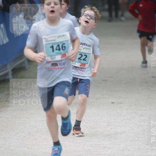 17.05.2025 - Störlauf H.Heesch http://msf.ph/oto/7893736 17.05.2025 13:43:59 Ziel 146, 2025, 22 meine-sportfotos.de