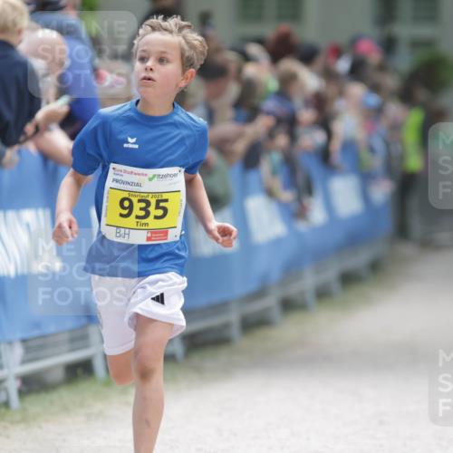 17.05.2025 - Störlauf H.Heesch http://msf.ph/oto/7893739 17.05.2025 14:10:05 Ziel 2025, 935, 17 meine-sportfotos.de