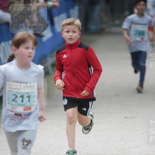 17.05.2025 - Störlauf H.Heesch http://msf.ph/oto/7893753 17.05.2025 13:44:02 Ziel 211, 233 meine-sportfotos.de