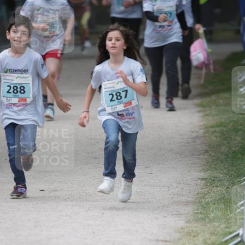 17.05.2025 - Störlauf H.Heesch http://msf.ph/oto/7893762 17.05.2025 13:44:04 Ziel 58, 288, 287 meine-sportfotos.de