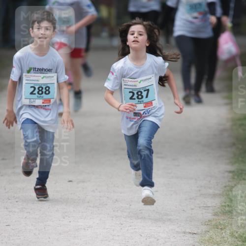 17.05.2025 - Störlauf H.Heesch http://msf.ph/oto/7893768 17.05.2025 13:44:04 Ziel 2025, 288, 2025, 287, 309 meine-sportfotos.de