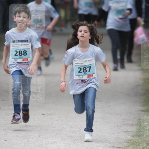 17.05.2025 - Störlauf H.Heesch http://msf.ph/oto/7893770 17.05.2025 13:44:04 Ziel 2025, 288, 2025, 287, 309 meine-sportfotos.de