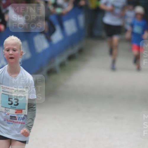 17.05.2025 - Störlauf H.Heesch http://msf.ph/oto/7893818 17.05.2025 13:44:27 Ziel 53 meine-sportfotos.de