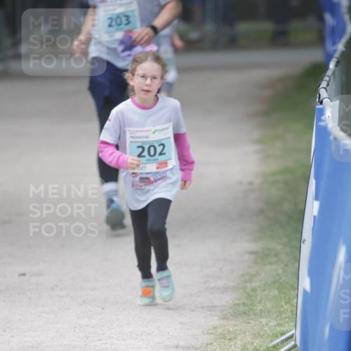 17.05.2025 - Störlauf H.Heesch http://msf.ph/oto/7893826 17.05.2025 13:44:31 Ziel 203, 202 meine-sportfotos.de
