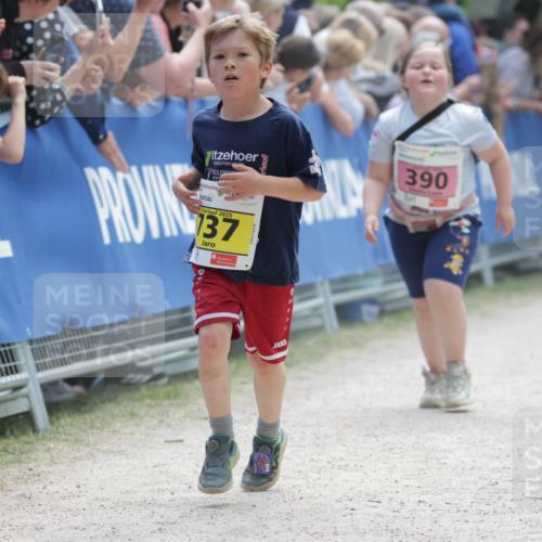 17.05.2025 - Störlauf H.Heesch http://msf.ph/oto/7893840 17.05.2025 14:10:40 Ziel 2025, 137, 390 meine-sportfotos.de