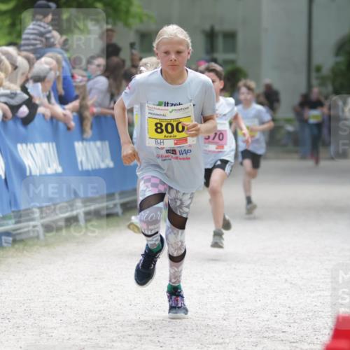 17.05.2025 - Störlauf H.Heesch http://msf.ph/oto/7893844 17.05.2025 14:10:41 Ziel 0, 2025, 800, 570 meine-sportfotos.de