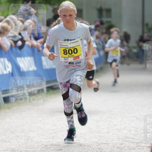 17.05.2025 - Störlauf H.Heesch http://msf.ph/oto/7893851 17.05.2025 14:10:41 Ziel 2025, 800 meine-sportfotos.de