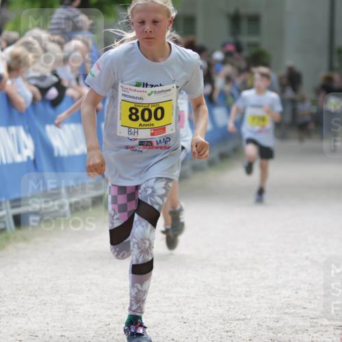 17.05.2025 - Störlauf H.Heesch http://msf.ph/oto/7893855 17.05.2025 14:10:42 Ziel 2025, 800 meine-sportfotos.de